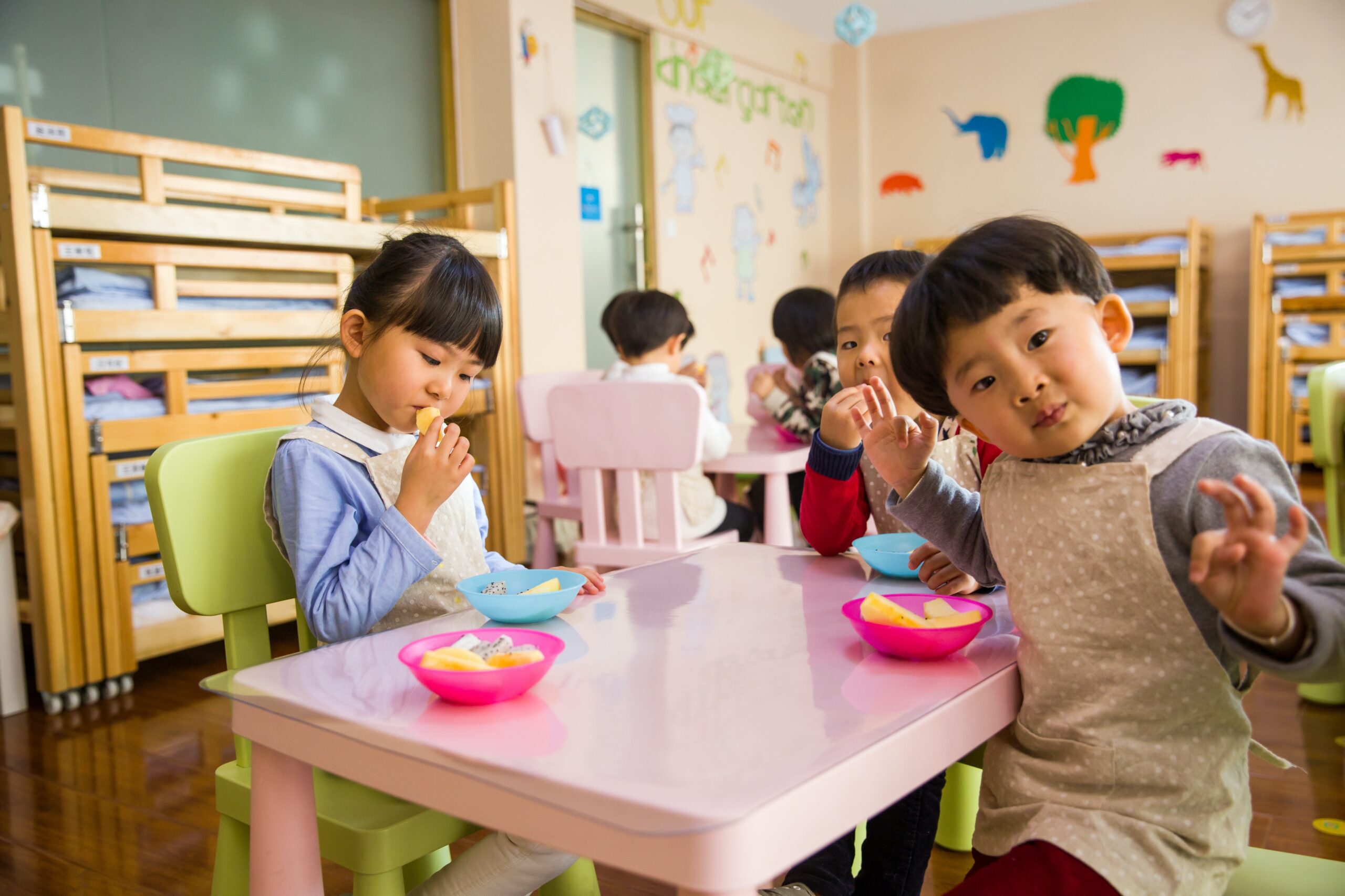 Shocks and Aftershocks of the Pandemic in the Early Childhood Education and Care Sector Shocks and Aftershocks of the Pandemic in the Early Childhood Education and Care Sector